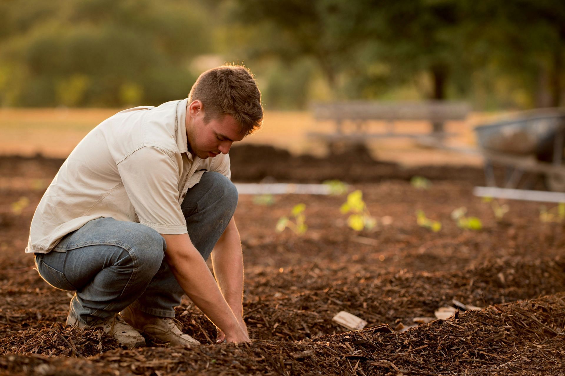 Grow your own at home and enjoy your healthy produce (Image by Jed Owen/Unsplash)